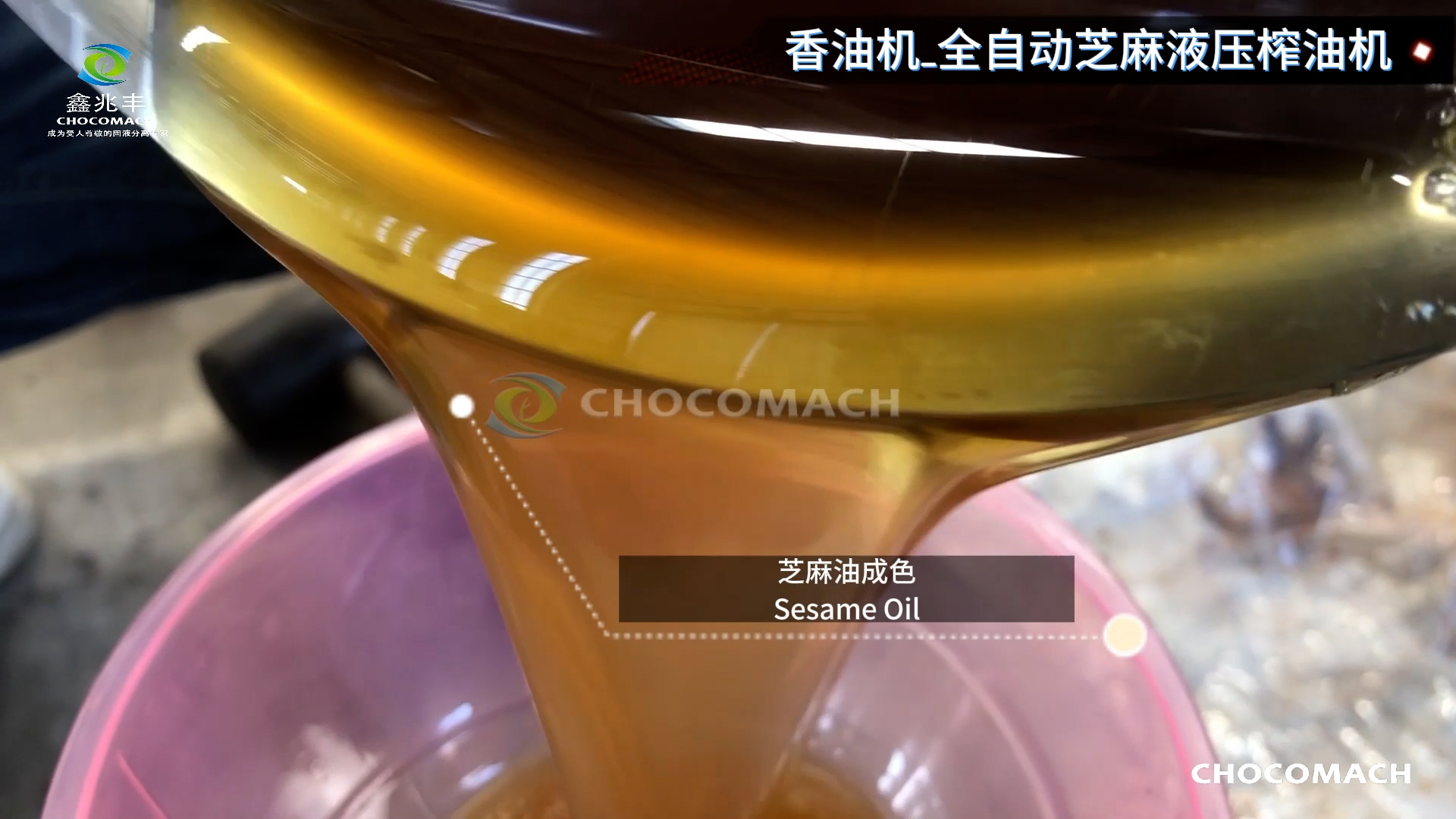 兆格環(huán)保YZYW全自動芝麻液壓香油機(jī)壓榨芝麻油